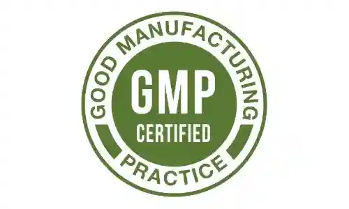 Memopezil GMP Certified